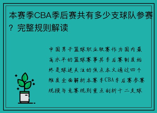 本赛季CBA季后赛共有多少支球队参赛？完整规则解读