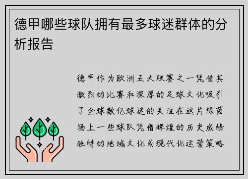 德甲哪些球队拥有最多球迷群体的分析报告