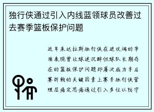 独行侠通过引入内线蓝领球员改善过去赛季篮板保护问题